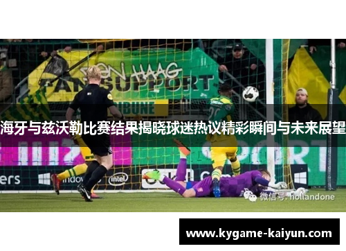 海牙与兹沃勒比赛结果揭晓球迷热议精彩瞬间与未来展望
